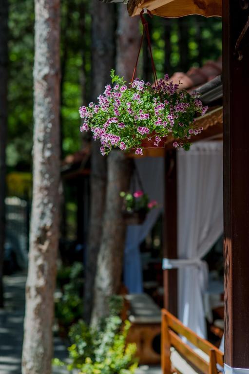 Hotel Park Bachinovo Yukarı Cuma Dış mekan fotoğraf
